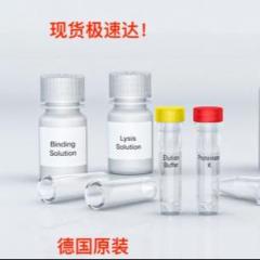 IST Innuscreen GmbH 高效核酸抽提纯化试剂盒